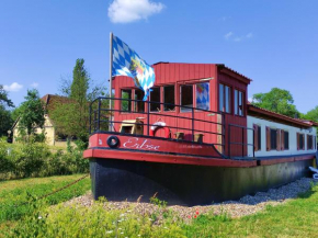 Filmschiff ERBSE